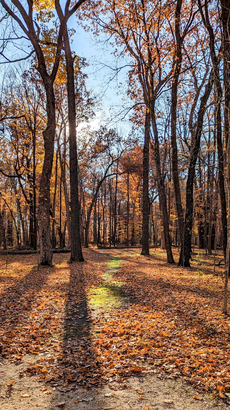 Sandy Knoll County Park | 2064 Wallace Lake Rd, West Bend, WI 53090, USA | Phone: (262) 335-4445