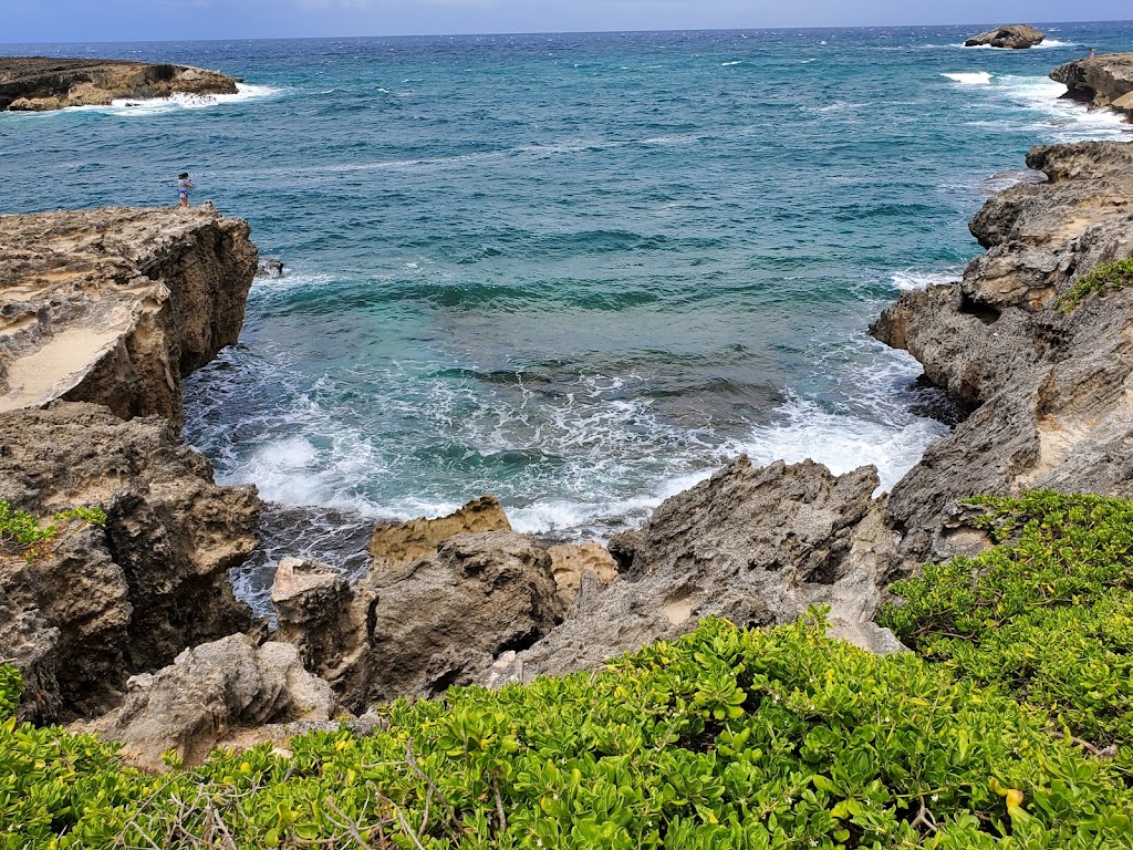 Lāʻie Point State Wayside | End of Naupaka Street, HI-83, Laie, HI 96762, USA | Phone: (808) 587-0300