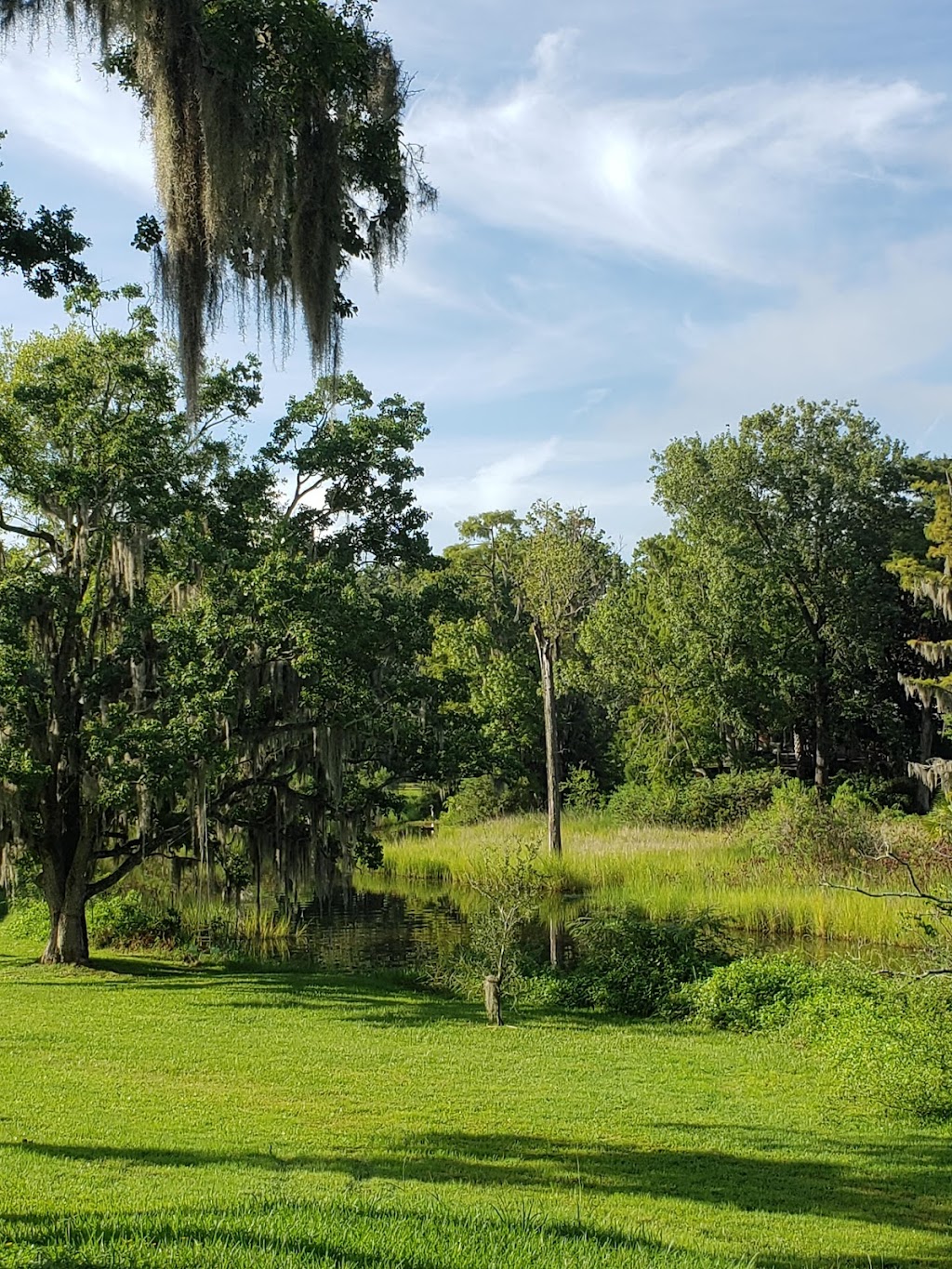 River Oaks Park | 1000 River Oaks Rd, Jacksonville, FL 32207, USA | Phone: (904) 630-2489