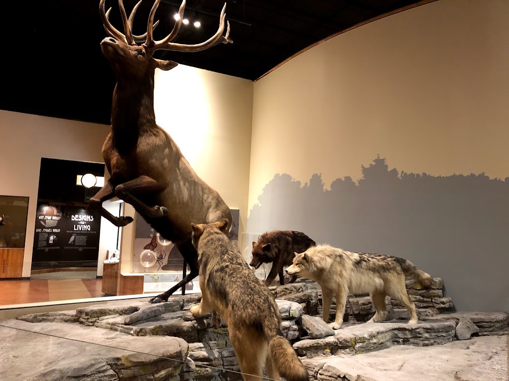 Anniston Museum of Natural History | 800 Museum Dr, Anniston, AL 36206, USA | Phone: (256) 237-6766