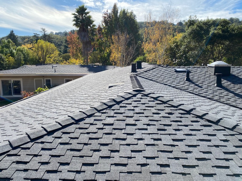 The Last Detail Roofing | Armstrong Ave, San Francisco, CA 94124, USA | Phone: (415) 637-3375