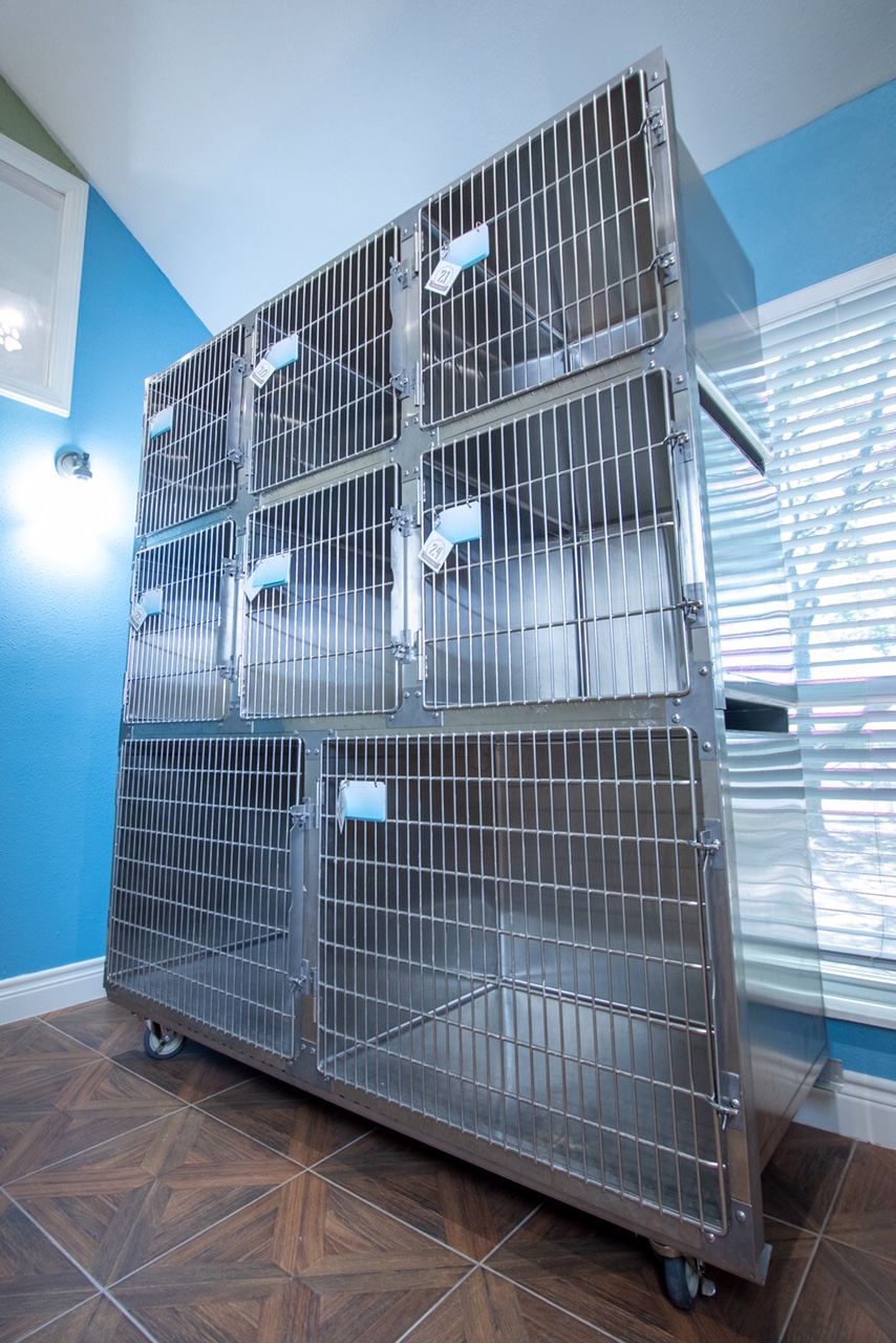 The Oaks Veterinary Clinic | 16615 Mueschke Rd, Cypress, TX 77433, USA | Phone: (832) 539-8160