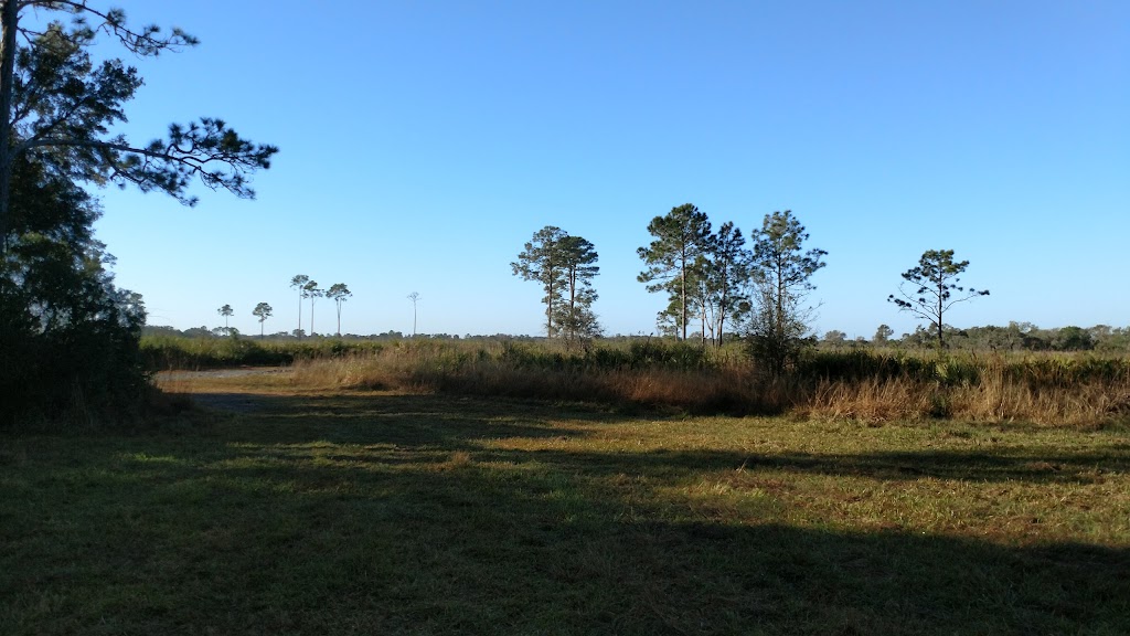 Myakka River State Park Horse Camp | Sarasota, FL 34241, USA | Phone: (941) 361-6515