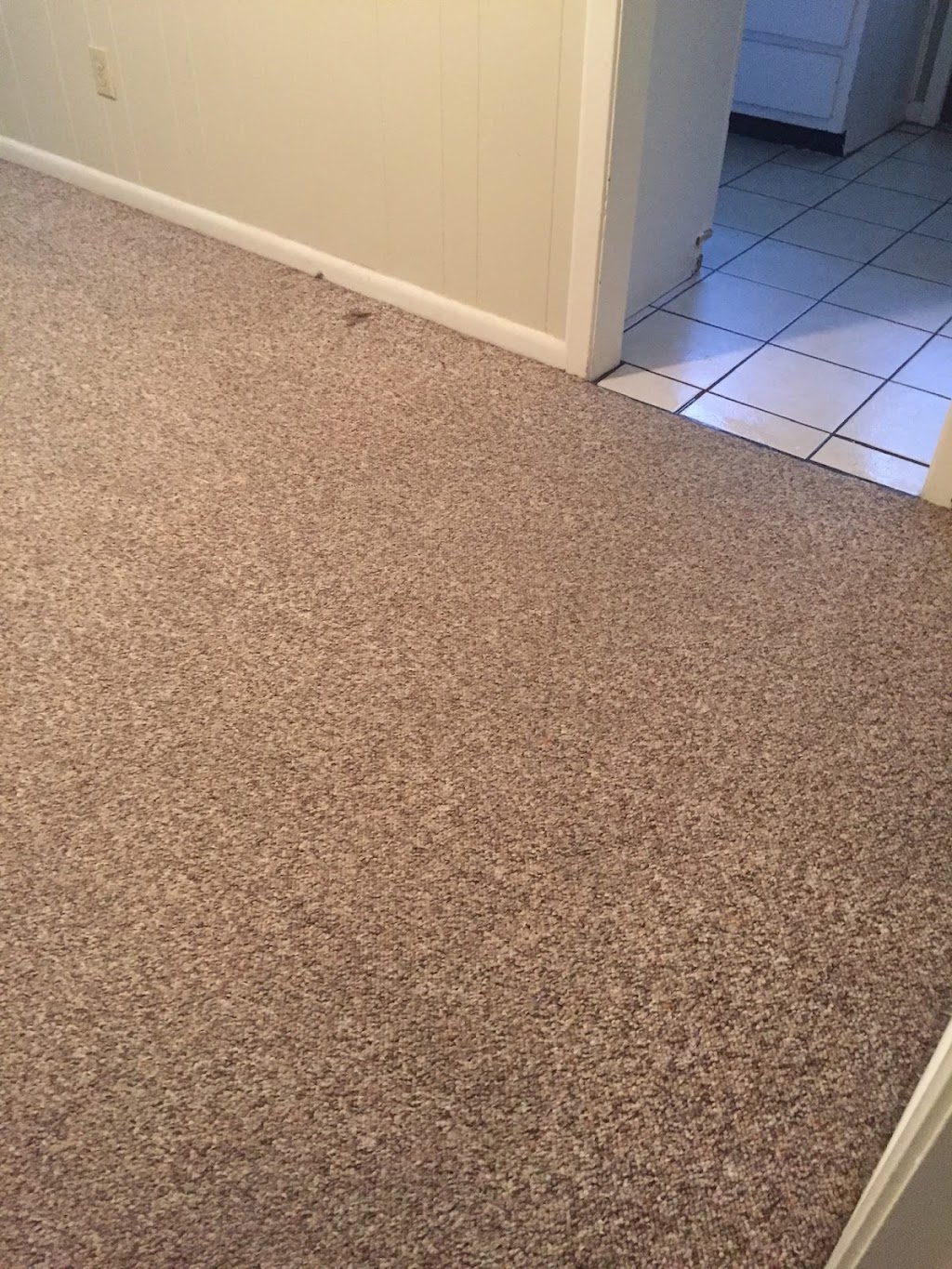 Carpet Cleaning of Memphis | 6757 Franie Ln, Lakeland, TN 38002 | Phone: (901) 482-5892