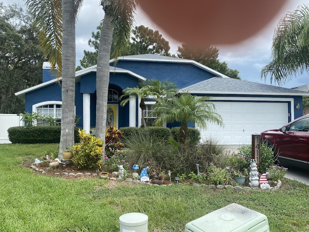 Above The Rest Painters | 7037 Lenape Cir, New Port Richey, FL 34653, USA | Phone: (813) 810-9703