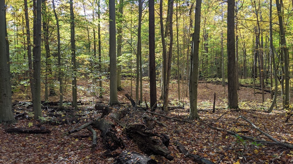 Highbanks Metro Park Multi-Use Trail | 9466 US 23 N, Lewis Center 43035, US-23 #9466, Lewis Center, OH 43035, USA | Phone: (740) 400-5951