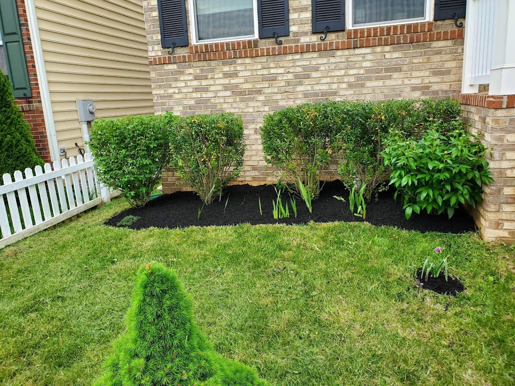 Genesis landscaping services | 11626 Gail St, Silver Spring, MD 20902, USA | Phone: (240) 272-3343
