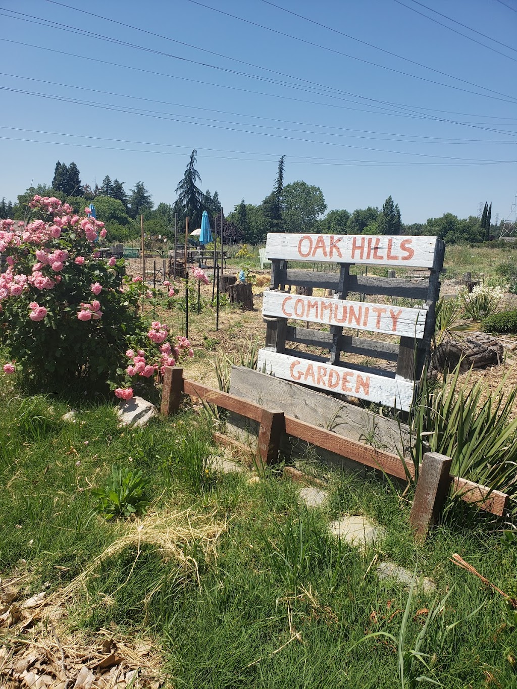 Oak Hills Community Garden | Folsom, CA 95630, USA | Phone: (916) 893-0181