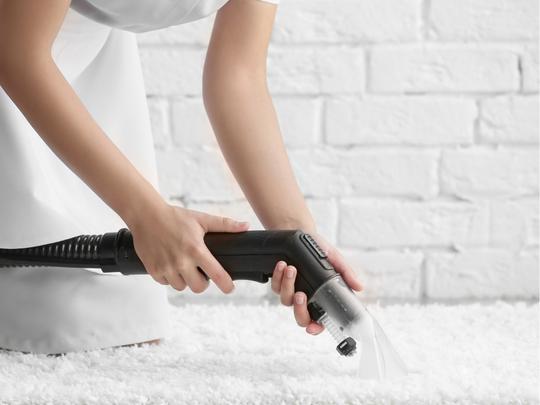 Ellis Carpet Cleaning | 1225 Franklin Ave, Garden City, NY 11530, USA | Phone: (631) 212-0900