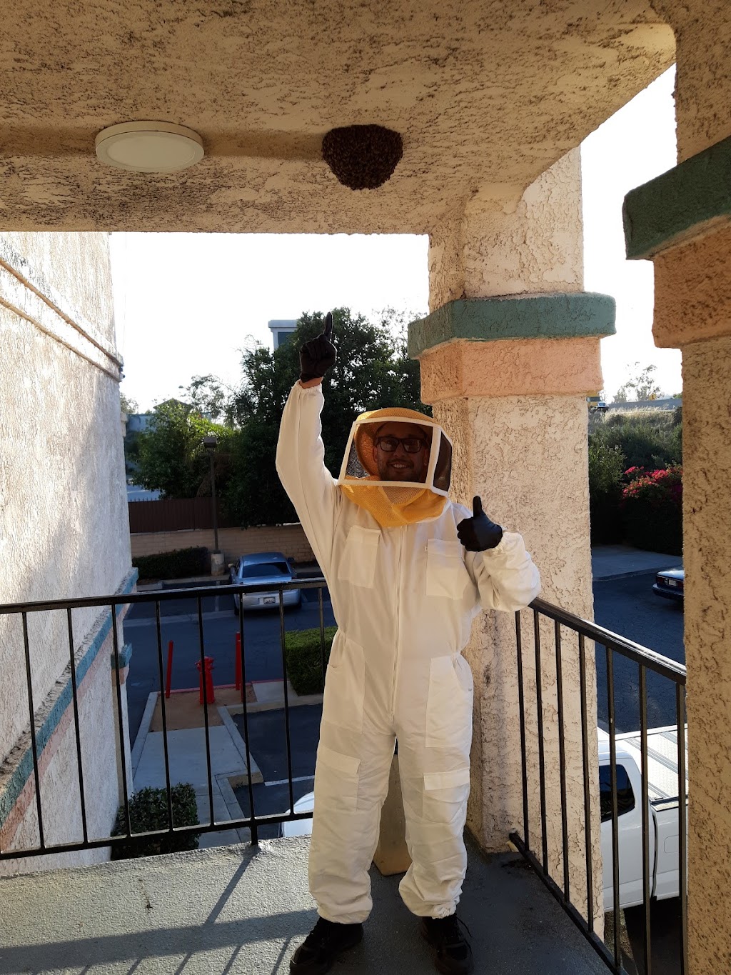 Outstanding Pest Solutions | 12631 Foxdale Dr, Moreno Valley, CA 92553, USA | Phone: (951) 476-9478
