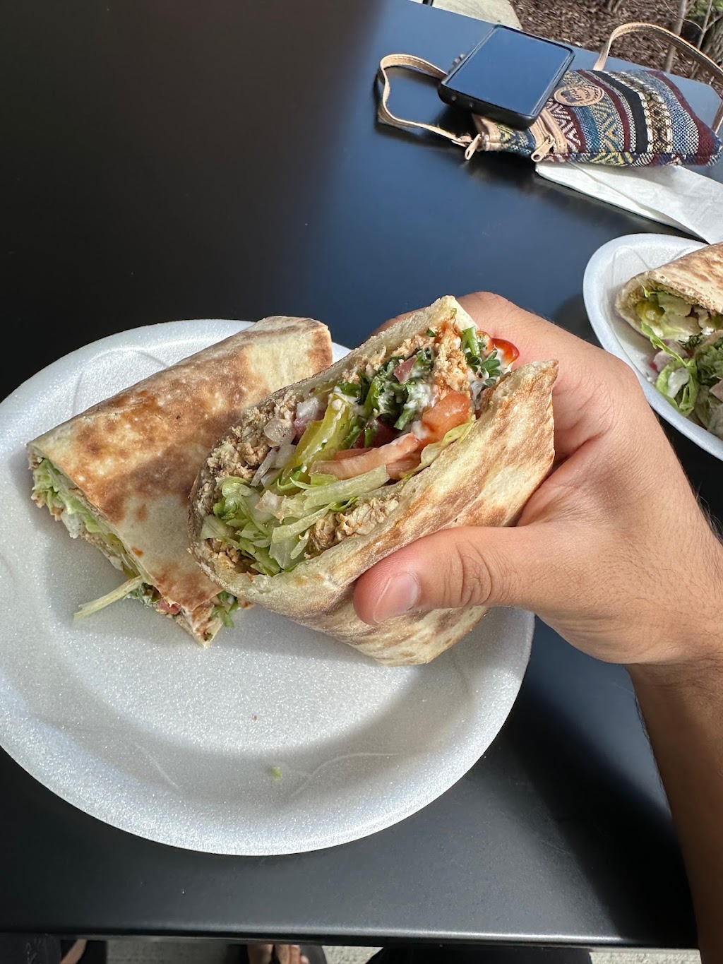 Pick a Pita | 7309 N Lilley Rd, Canton, MI 48187, USA | Phone: (734) 335-7554