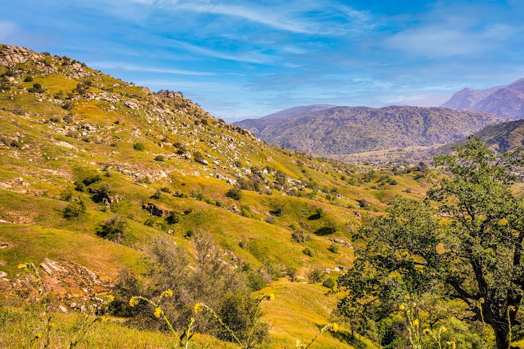 The Sierra Gallery & Boutique | 35569 CA-190, Springville, CA 93265, USA | Phone: (559) 783-4011