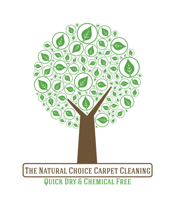The Natural Choice Carpet Cleaning | 4920 Atlanta Hwy #321, Alpharetta, GA 30004, USA | Phone: (678) 771-5827