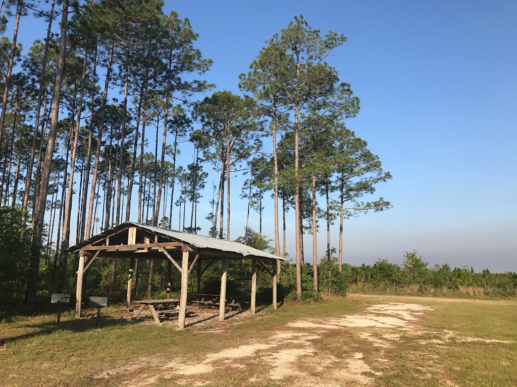 Belmore State Forest - Satsuma Tract | 4980 FL-16 W, Starke, FL 32091 | Phone: (904) 529-2358