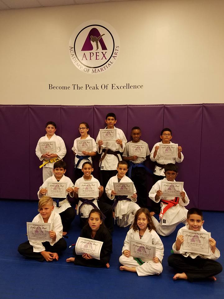 Apex Academy of Martial Arts | 11591 Pradera Reserve Blvd, Riverview, FL 33579, USA | Phone: (813) 586-1042