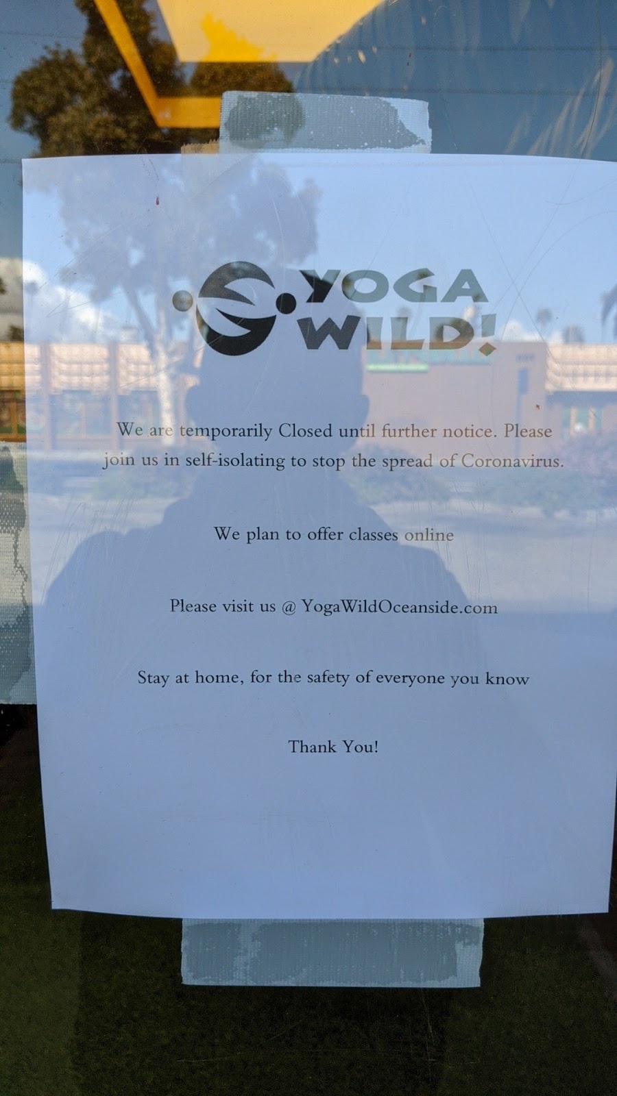 Yoga Wild | 701 Seagaze Dr #3076, Oceanside, CA 92054, USA | Phone: (760) 754-6803