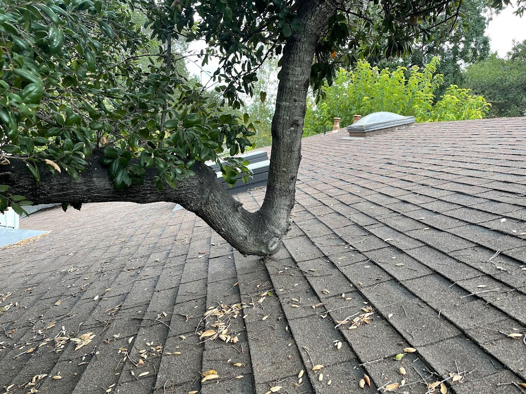 Everest Roofing | 1522 Jacobsen St, Antioch, CA 94509, USA | Phone: (510) 424-5000