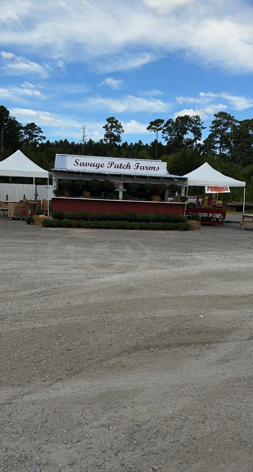 Savage Patch Farms | 9 US-13, Eure, NC 27935, USA | Phone: (252) 506-5274