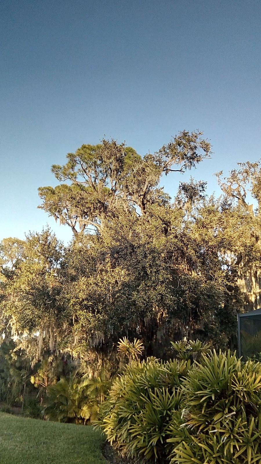 Apollo Beach Park and Community Center | 664 Golf and Sea Blvd, Apollo Beach, FL 33572, USA | Phone: (813) 671-7635 Apollo Beach Park and Community Center | 664 Golf and Sea Blvd, Apollo Beach, FL 33572, USA | Phone: (813) 671-7635