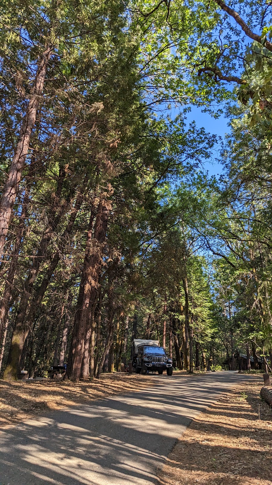 Indian Grinding Rock Campground | Bryson Ln, Pine Grove, CA 95665, USA | Phone: (209) 296-7488