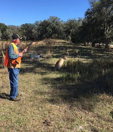 SPORTSMANS PRESERVE Quail Pheasant & Chukar Hunting in Florida | 4617 Garland Branch Rd, Dover, FL 33527, USA | Phone: (813) 956-1315