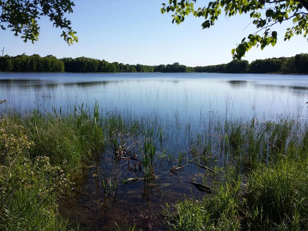 Wayside Prairie Park | 27800 Verdin St NW, Isanti, MN 55040, USA | Phone: (763) 689-8220