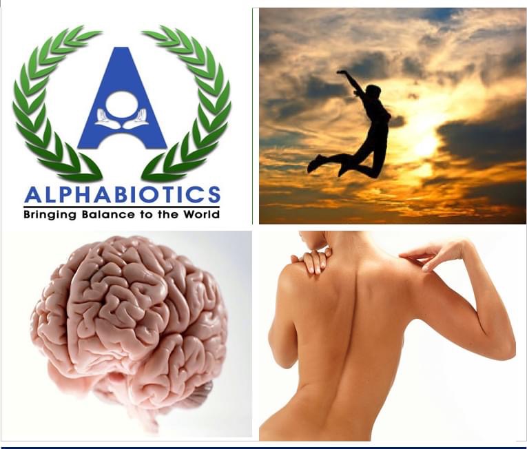 Alphabiotic ANSR | 2405 I-35 Suite I, New Braunfels, TX 78130, USA | Phone: (830) 557-3288