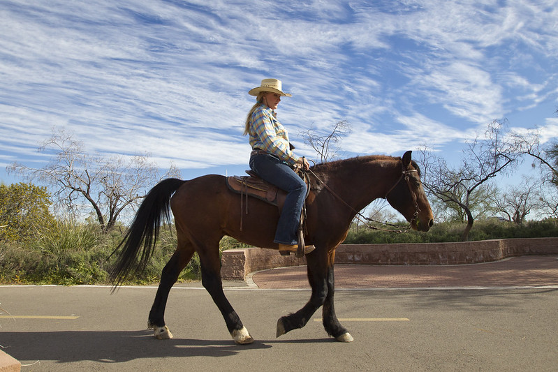 The Chuck Huckelberry Loop | 4288 Diamond St Loop, Tucson, AZ 85718, USA | Phone: (520) 724-5000