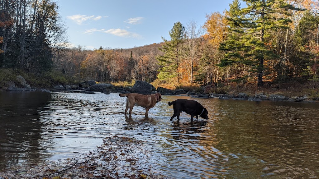 Cedar River Canoe/Kayak/Fishing Access | Benton Rd, Indian Lake, NY 12842, USA | Phone: (518) 863-4545