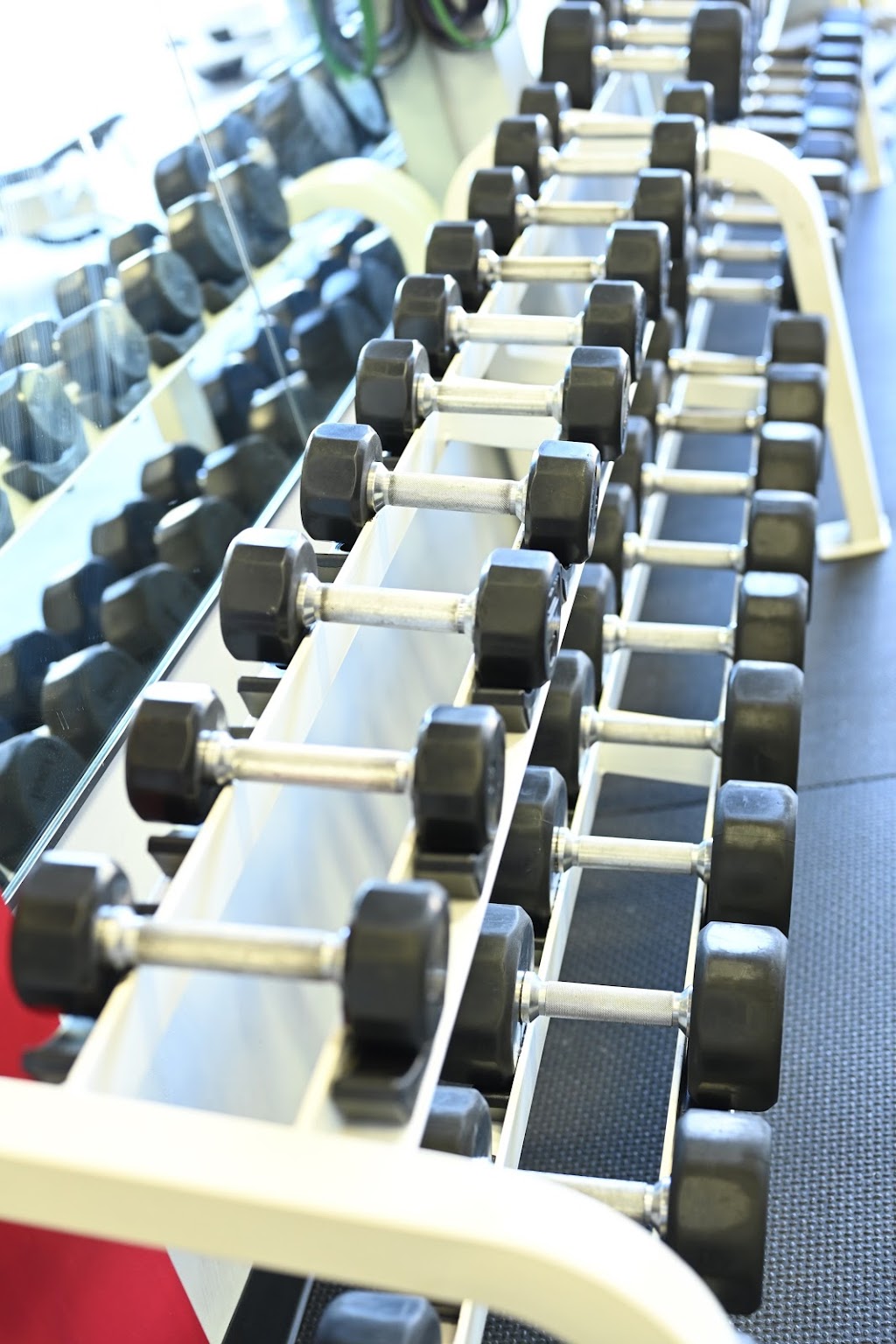 Steadfast Performance | 228 Gay St, Plain City, OH 43064, USA | Phone: (614) 363-0705