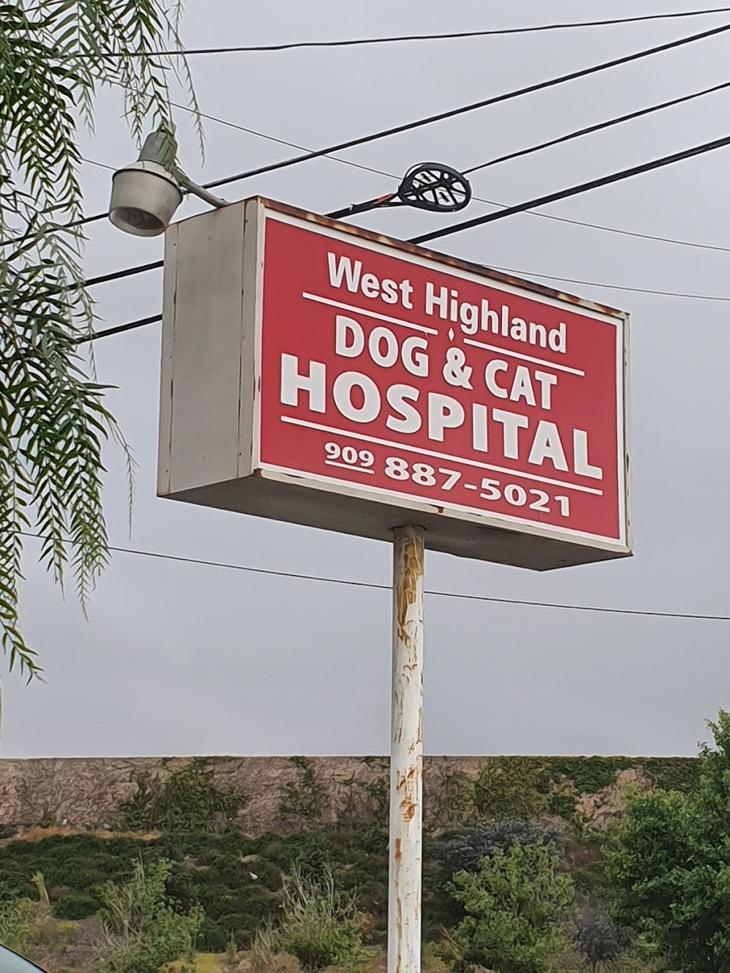 West Highland Dog & Cat Hospital | 1795 W Highland Ave, San Bernardino, CA 92411, USA | Phone: (909) 887-5021