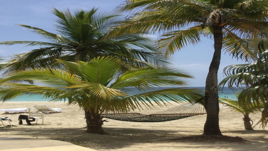 Travel Dreams | 8801 Wesley St Suite A, Greenville, TX 75402, USA | Phone: (903) 454-3381