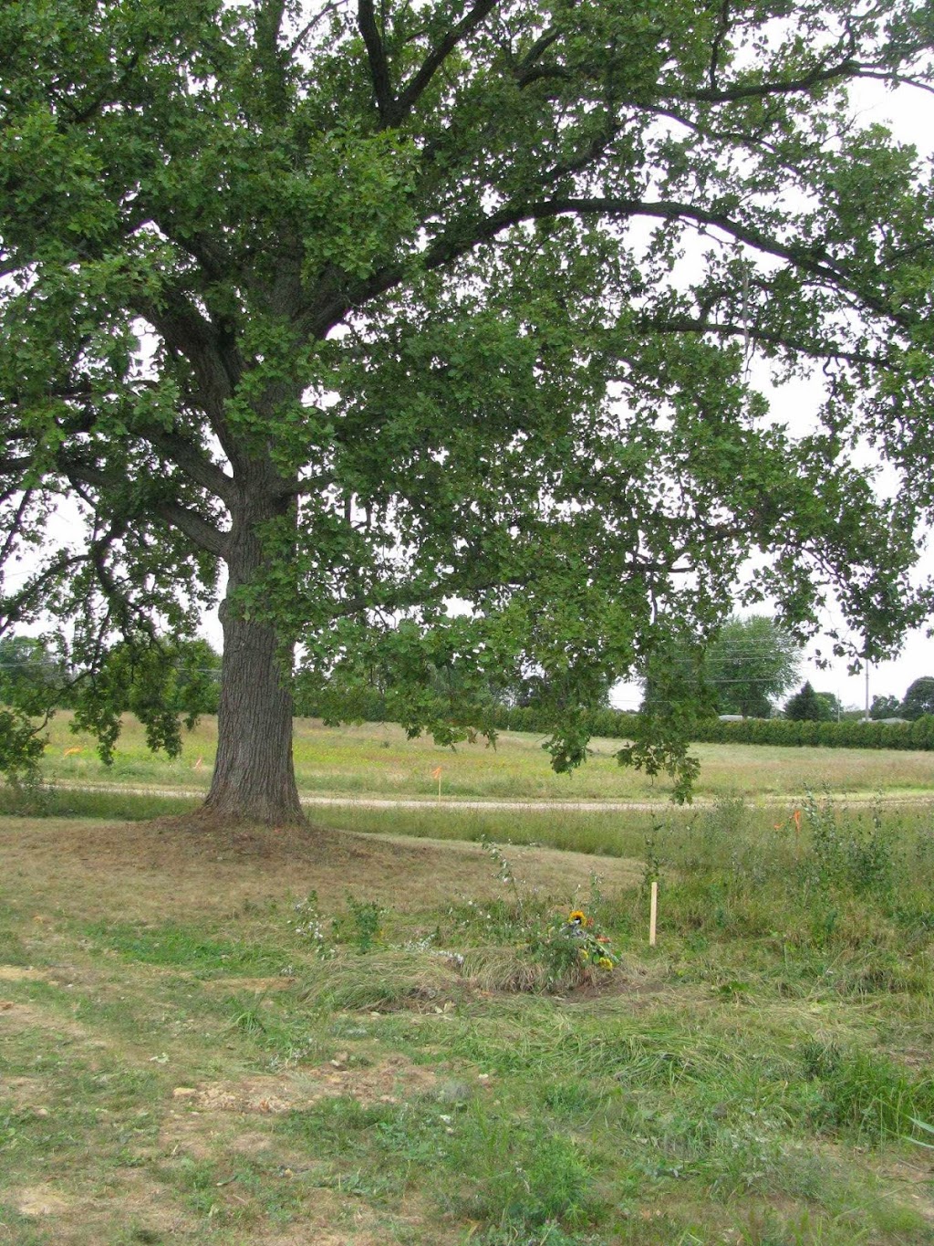 The Preserve At All Saints Cemetery | 4401 Nelsey Rd, Waterford Twp, MI 48329, USA | Phone: (800) 989-9633