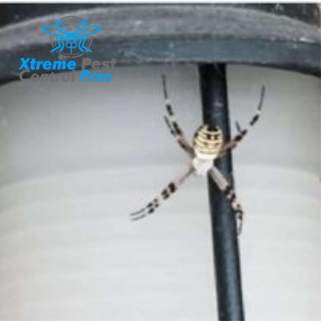 Xtreme Pest Control | 1147 Brookview Cir, Pickerington, OH 43147, USA | Phone: (740) 660-3671