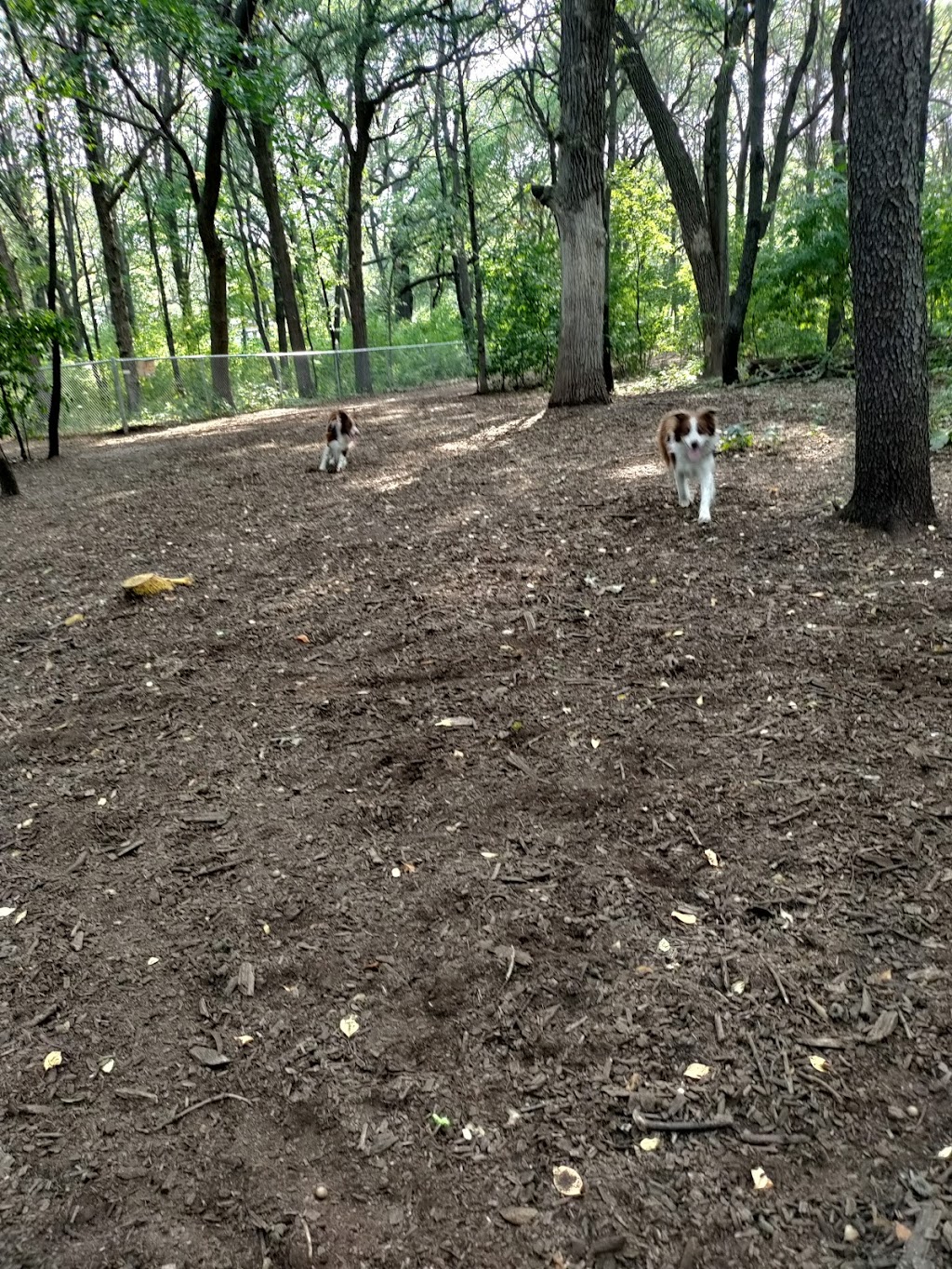 Swanson Dog Park | 9150 Central Ave NE, Blaine, MN 55434, USA | Phone: (763) 785-6164