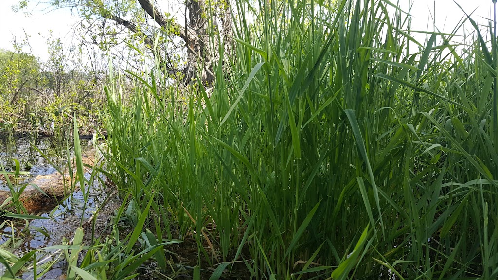 Hook Lake Bog State Natural Area | Oregon, WI 53575, USA | Phone: (888) 936-7463