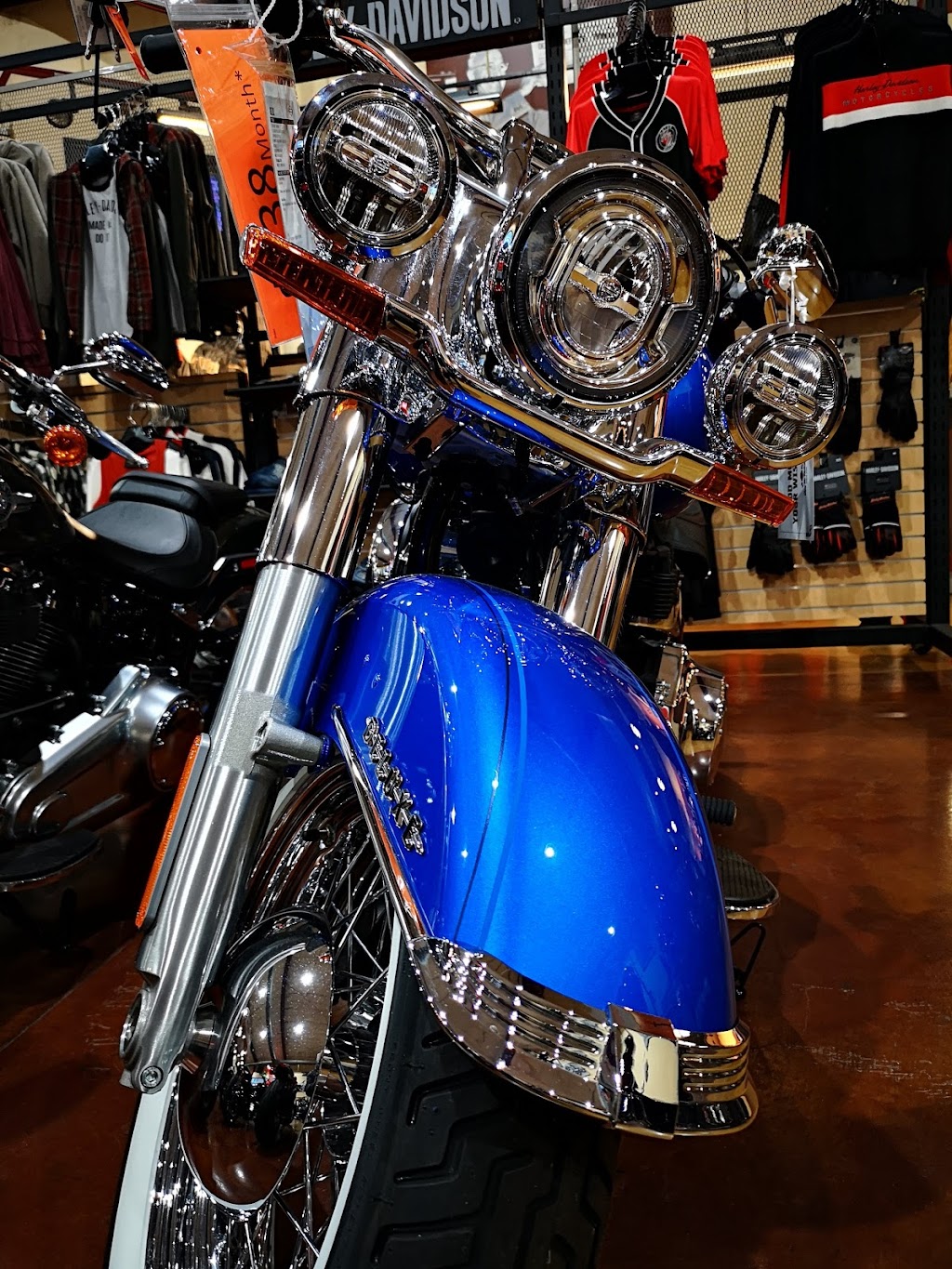 Gold Star Harley-Davidson | 2435 US-67, Festus, MO 63028, USA | Phone: (636) 931-8700