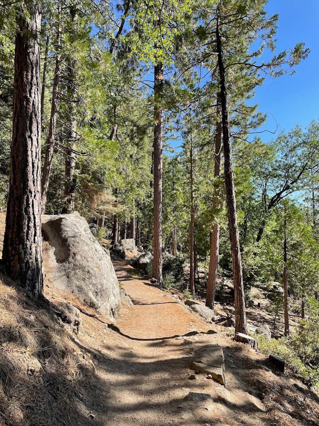 Ernie Maxwell Scenic Trail 3E07 | Fern Valley Rd, Idyllwild-Pine Cove, CA 92549, USA | Phone: (909) 382-2921