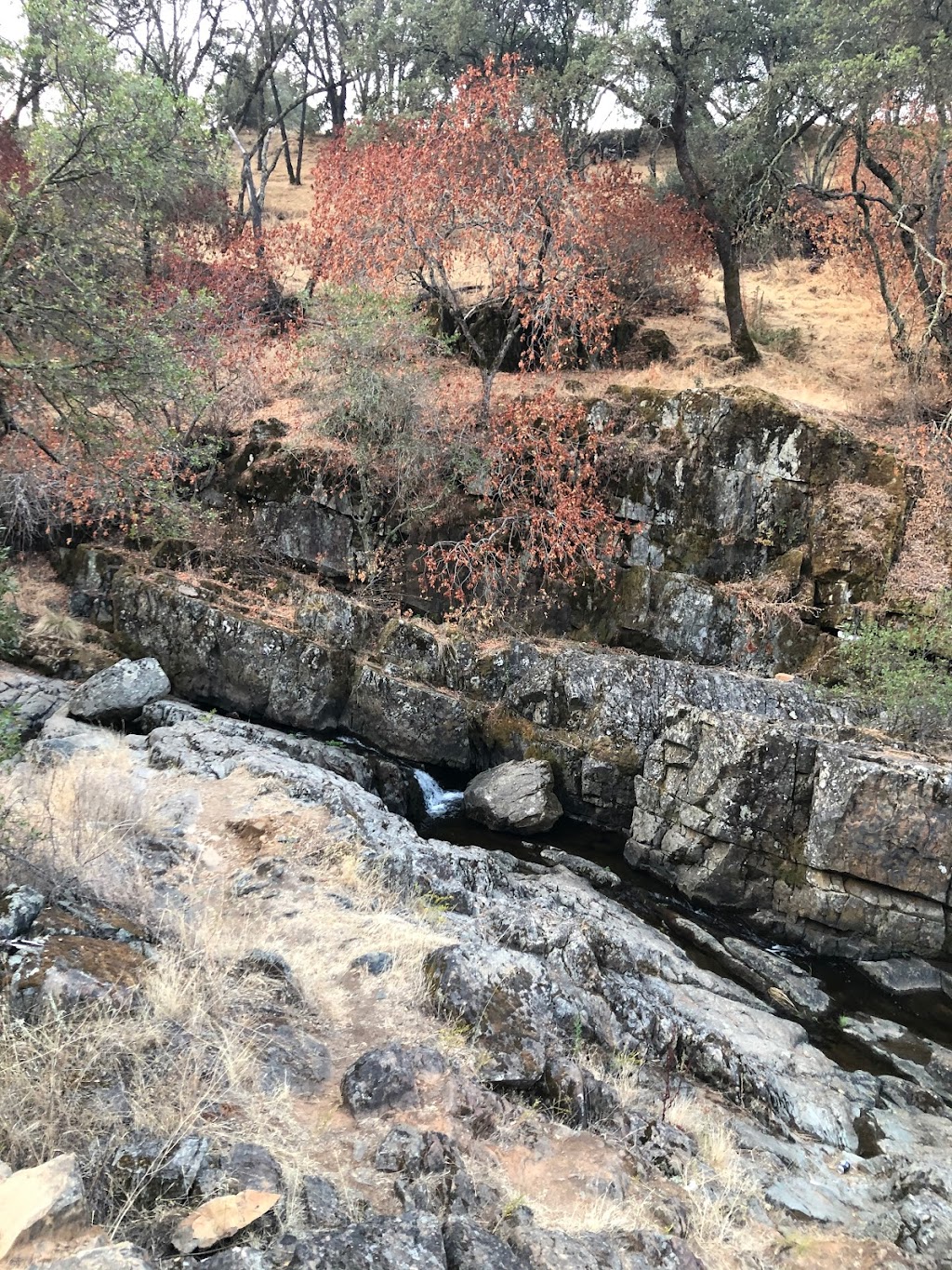 LiveInSerrano | 4385 Lombardia Way, El Dorado Hills, CA 95762, USA | Phone: (916) 365-3548