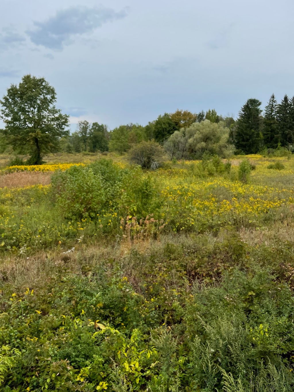 Great Swamp National Wildlife Refuge | New Vernon, NJ 07976, USA | Phone: (973) 425-1222