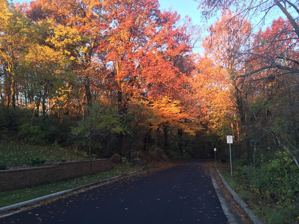 Meadow Ridge Conservation Park | 105 W Sauthoff Rd, Madison, WI 53704, USA | Phone: (608) 266-4711