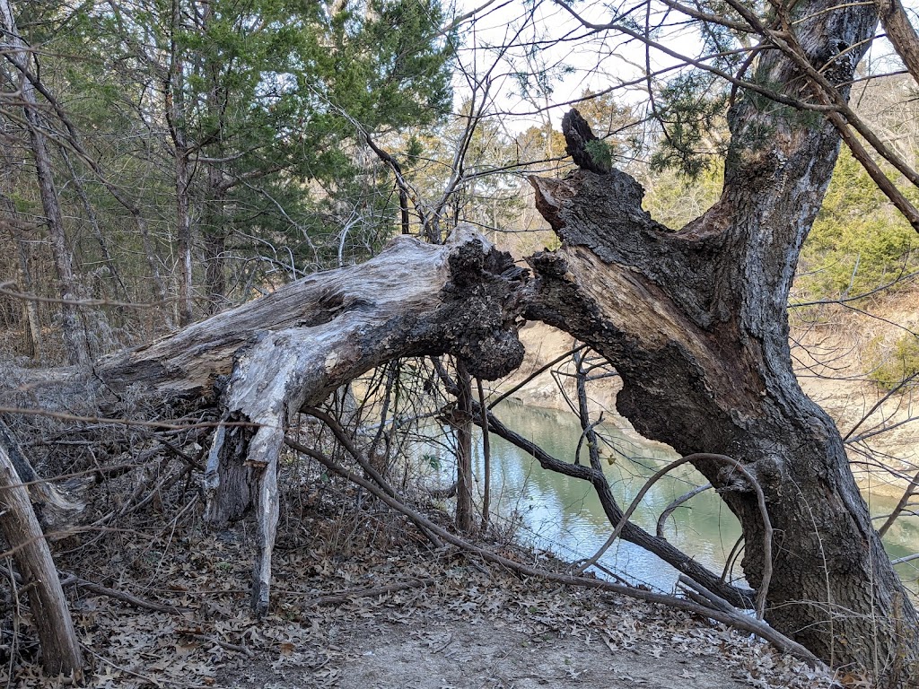 Spring Creek Forest Trails | 1770 Holford Rd, Garland, TX 75044, USA | Phone: (972) 205-2750