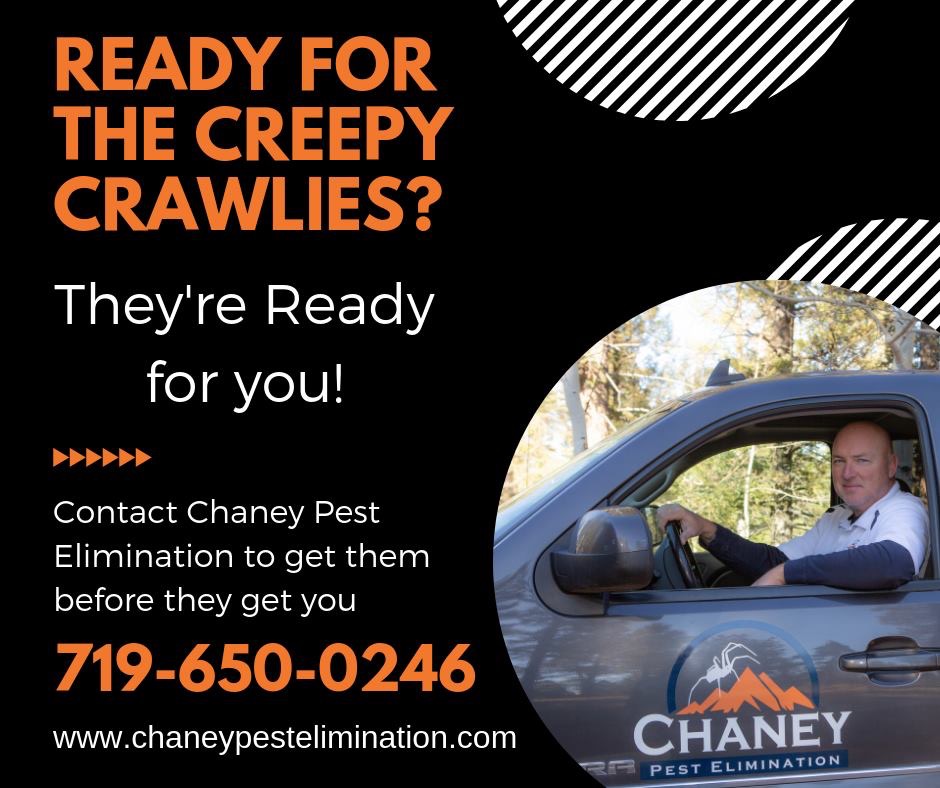 Chaney Pest Elimination | 33 Kenosha Cir, Divide, CO 80814 | Phone: (719) 650-0246