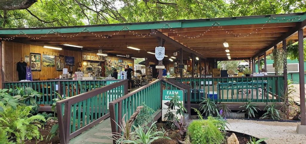 North Shore Macadamia Nut Company | 62330 Kamehameha Hwy, Haleiwa, HI 96712, USA | Phone: (808) 375-0698