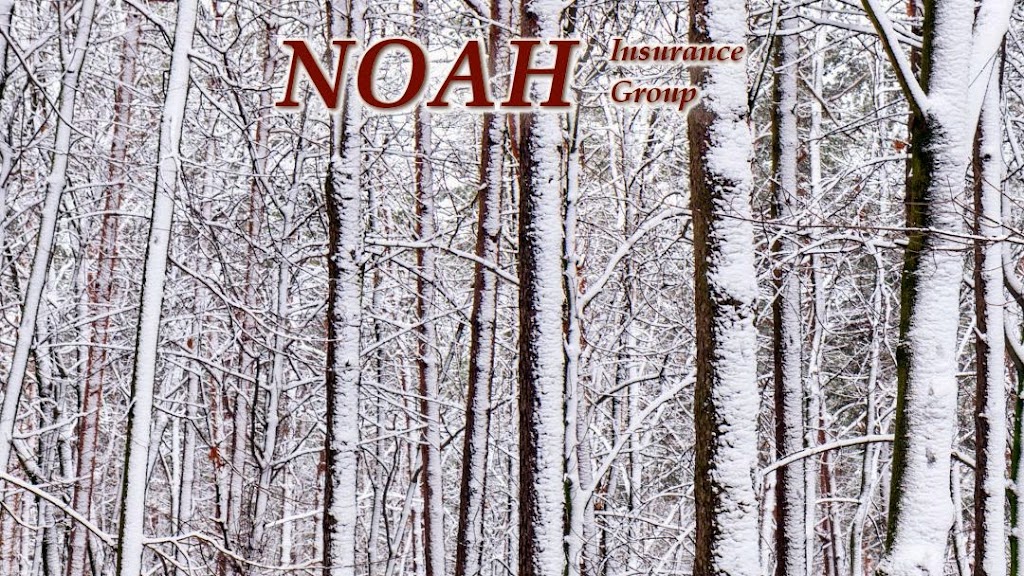 Noah Insurance Group | 102 N Cascade St, Osceola, WI 54020, USA | Phone: (715) 294-2510