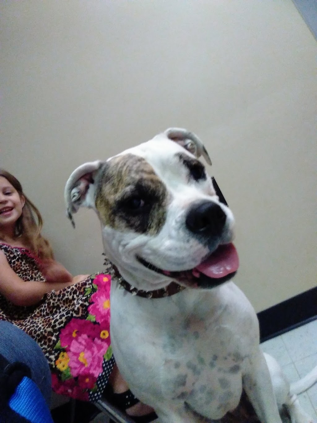 Stewart Animal Clinic: Bonds Tara DVM | 9630 US-31, Warrior, AL 35180, USA | Phone: (205) 647-8140