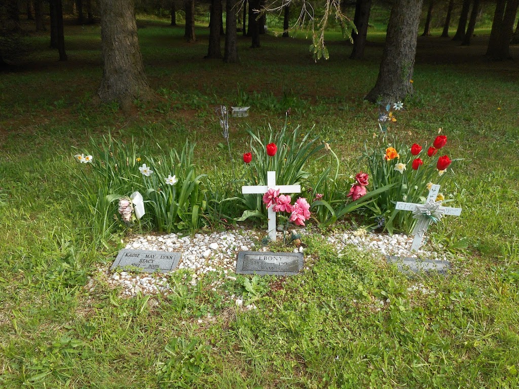 Breezy Pines Pet Cemetery | 2449 Veley Rd, Cato, NY 13033, USA | Phone: (315) 626-2410