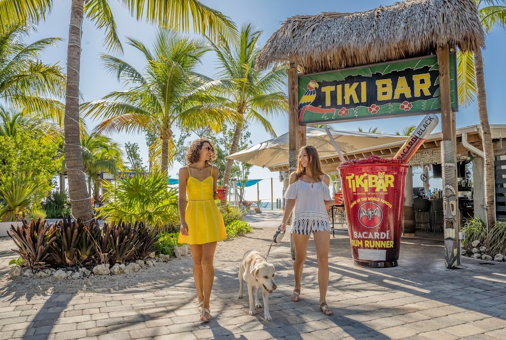 Tiki Bar | 84001 Overseas Hwy, Islamorada, FL 33036, USA | Phone: (305) 664-2321