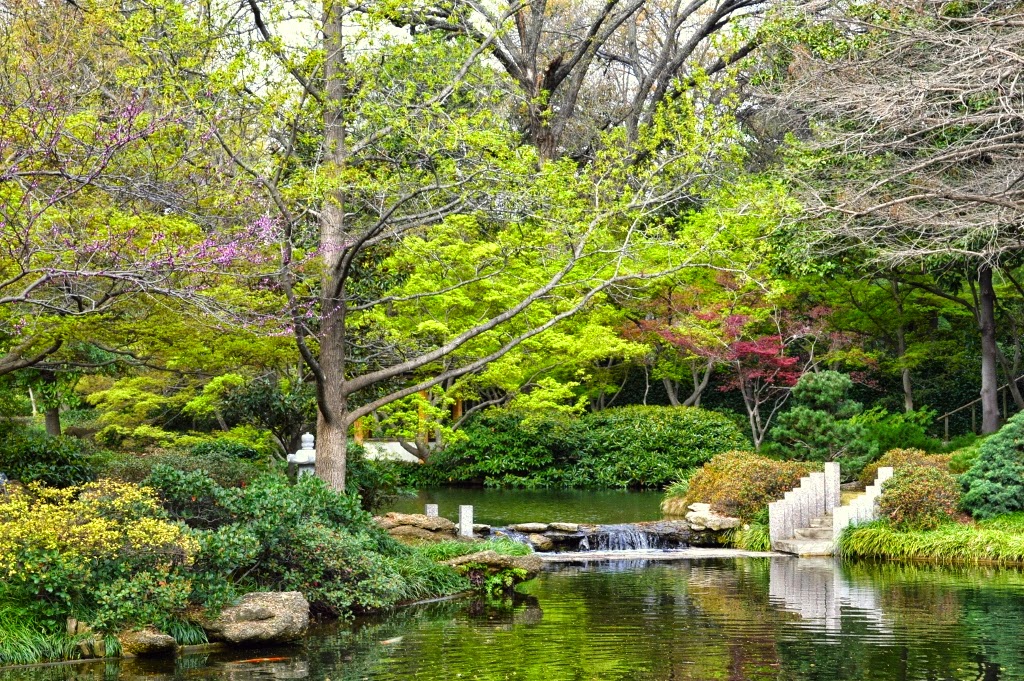 Japanese Garden | 3220 Botanic Garden Blvd, Fort Worth, TX 76107, USA | Phone: (817) 463-4160