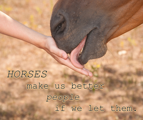 Healing Horse Therapy | 30608 NE Mc Bride Rd #1, Battle Ground, WA 98604, USA | Phone: (360) 798-2669